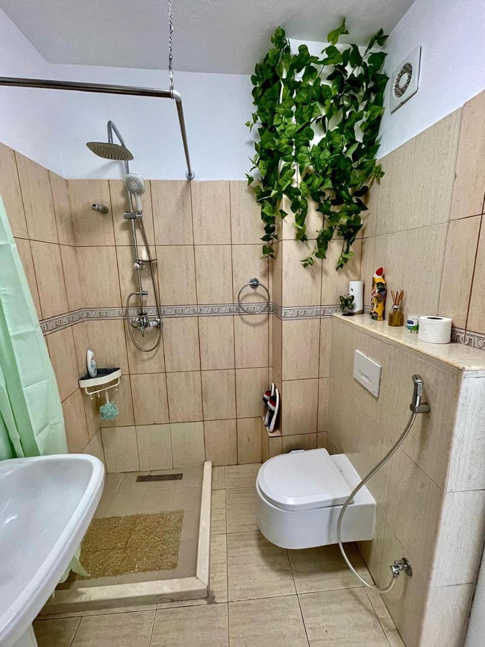 Flex Apartment Тирана Екстериор снимка